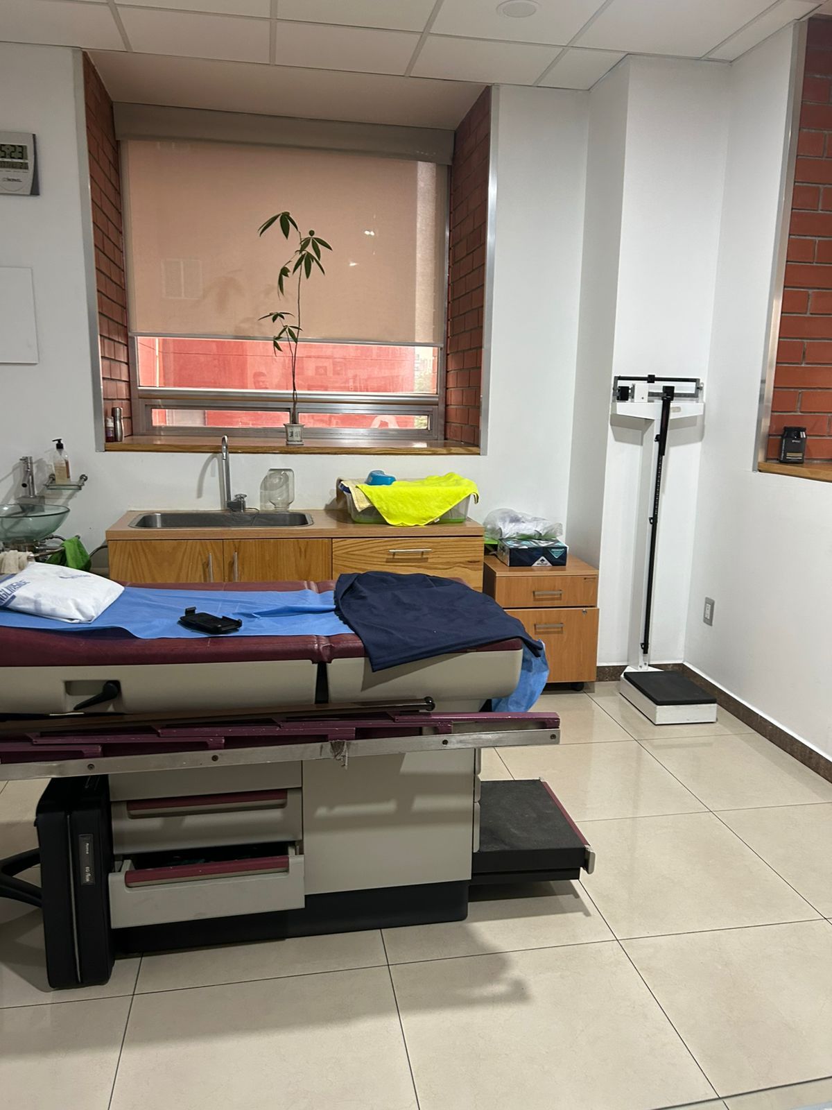 Felipe Zamarripa Dorsey-1