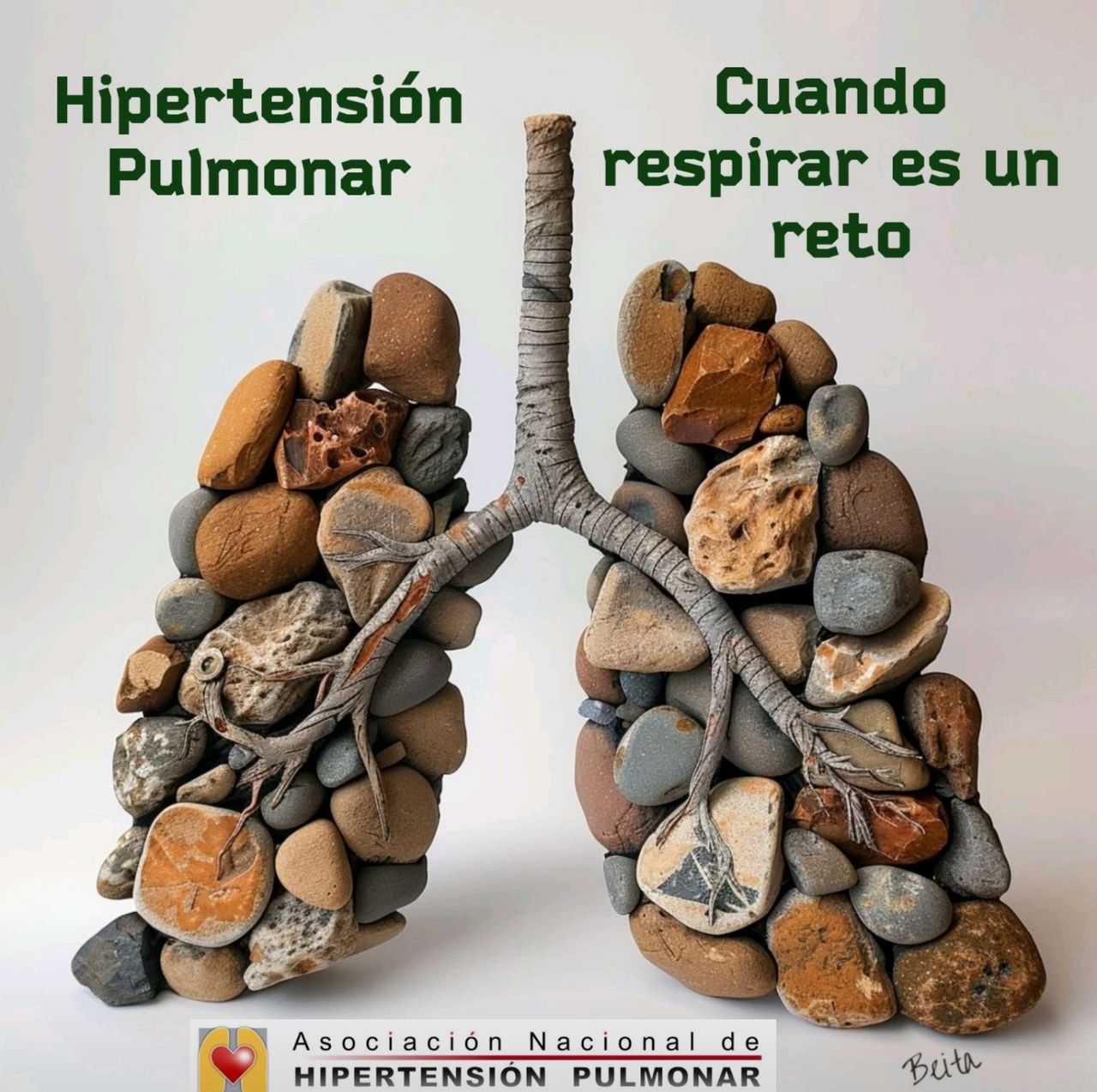 Guillermo Prisciliano Montes García-6