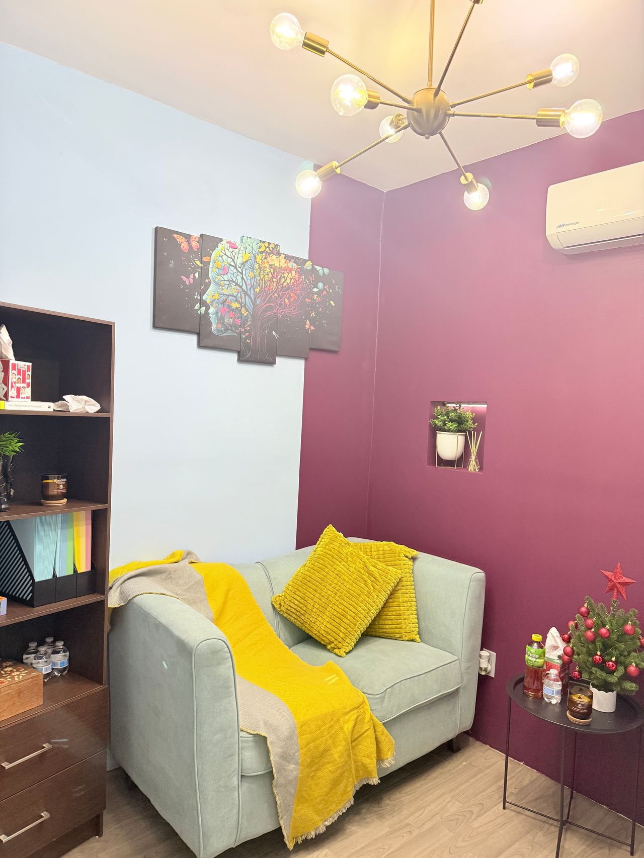 Antonio Junior Ibarra Salas-4