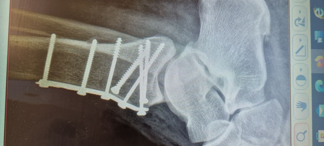 Héctor Omar González Navarro-15