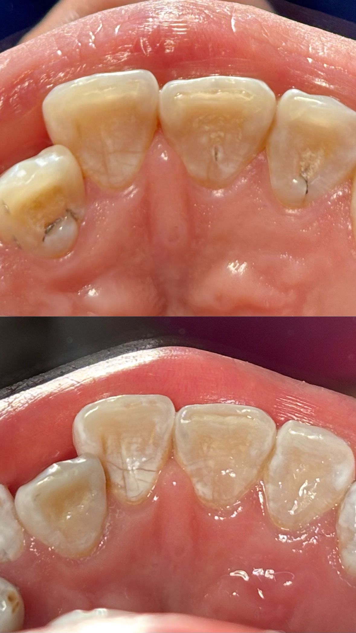 María Paula  Flores Novoa-78