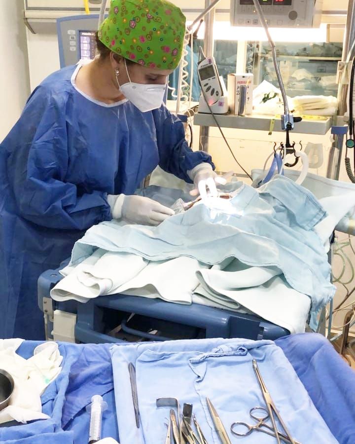 Mildreth Alejandra Solis Bravo-2