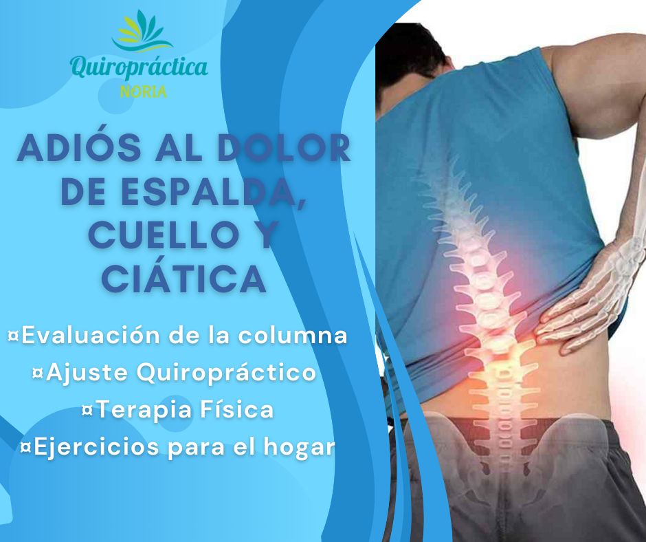 María De Los Ángeles Noria López-1