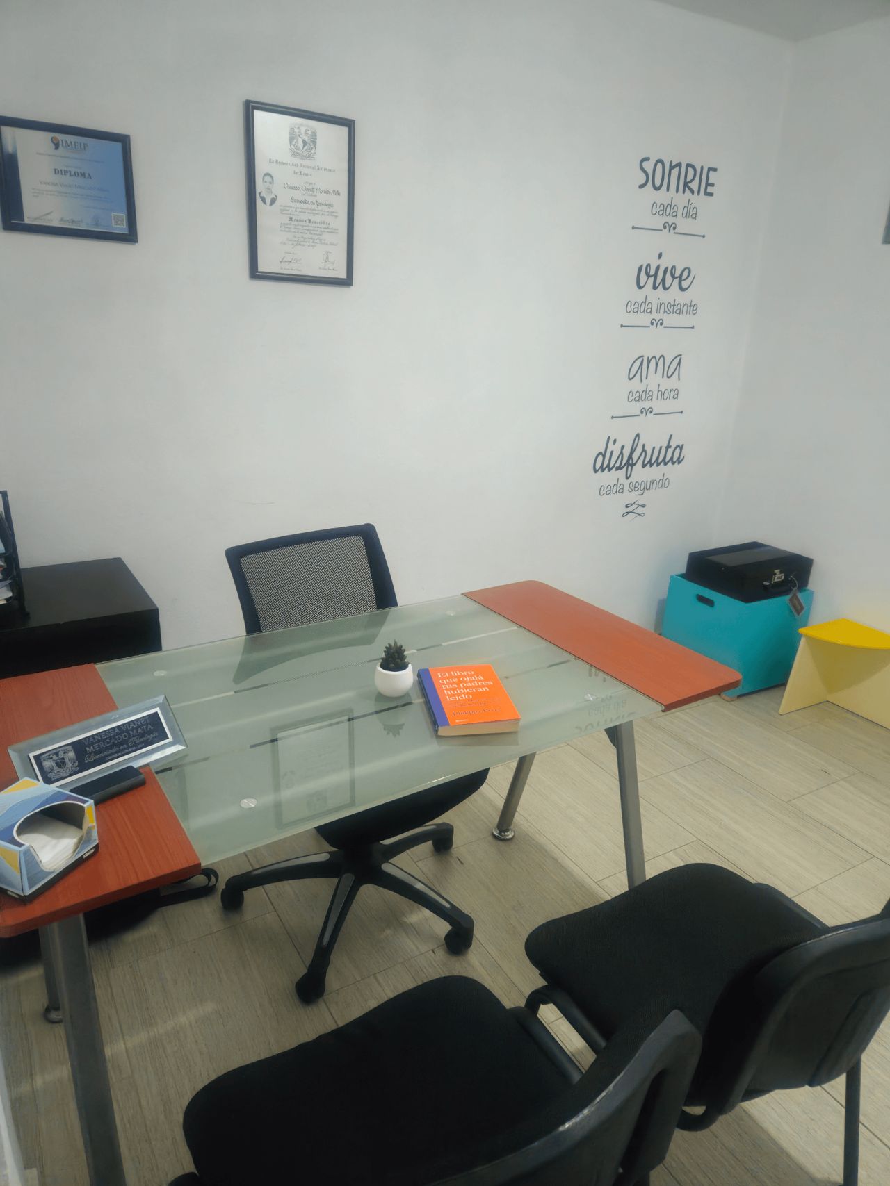 Vanessa Vianet Mercado Mata-1