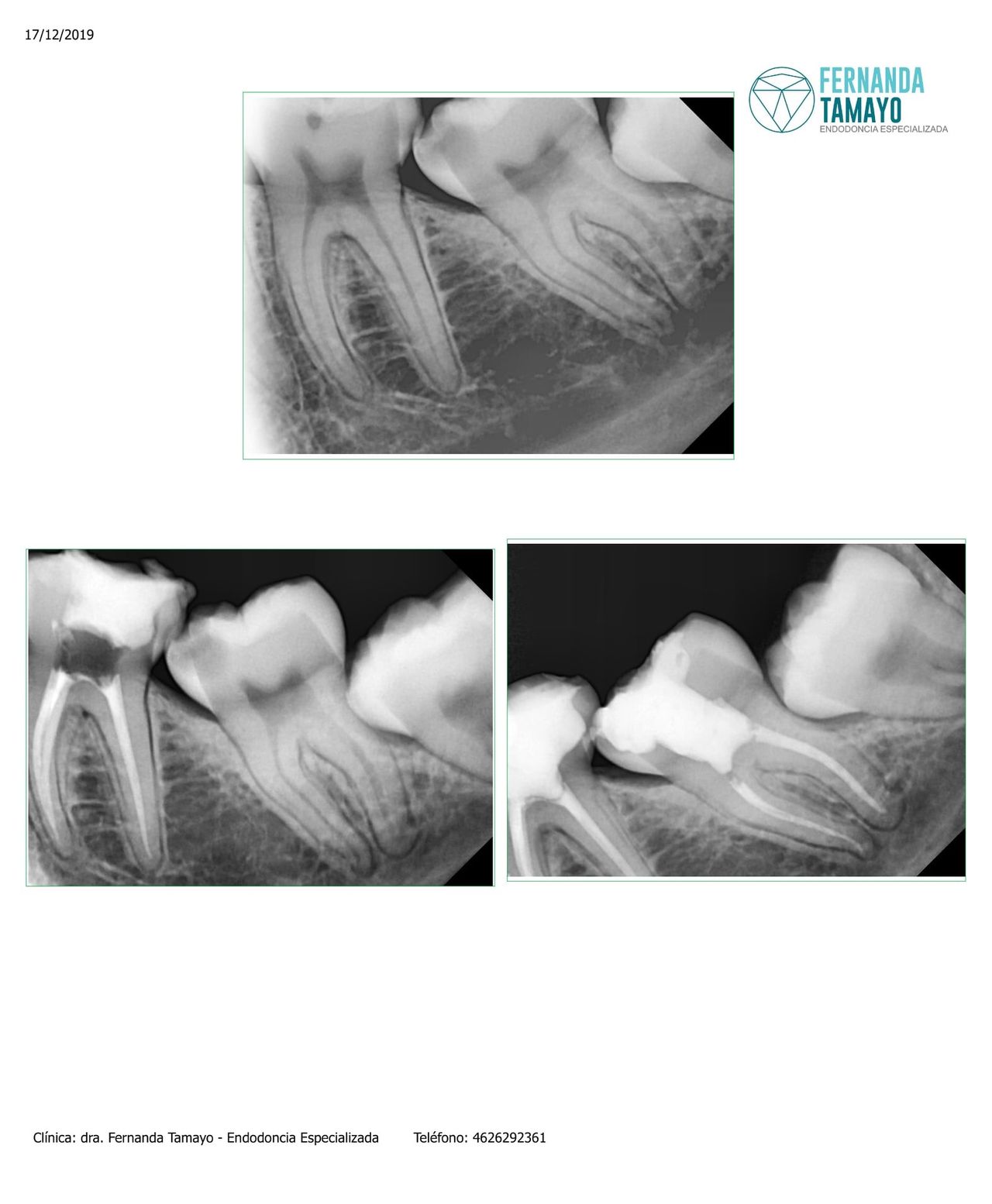 María Fernanda Tamayo Lizárraga-8