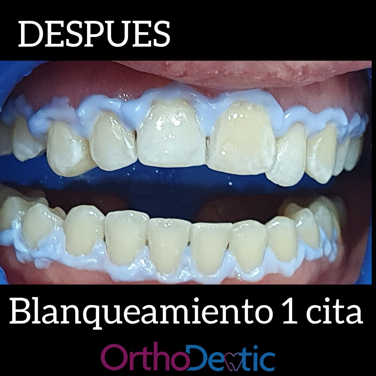 Mónica Bridgette Guerrero Martínez-124