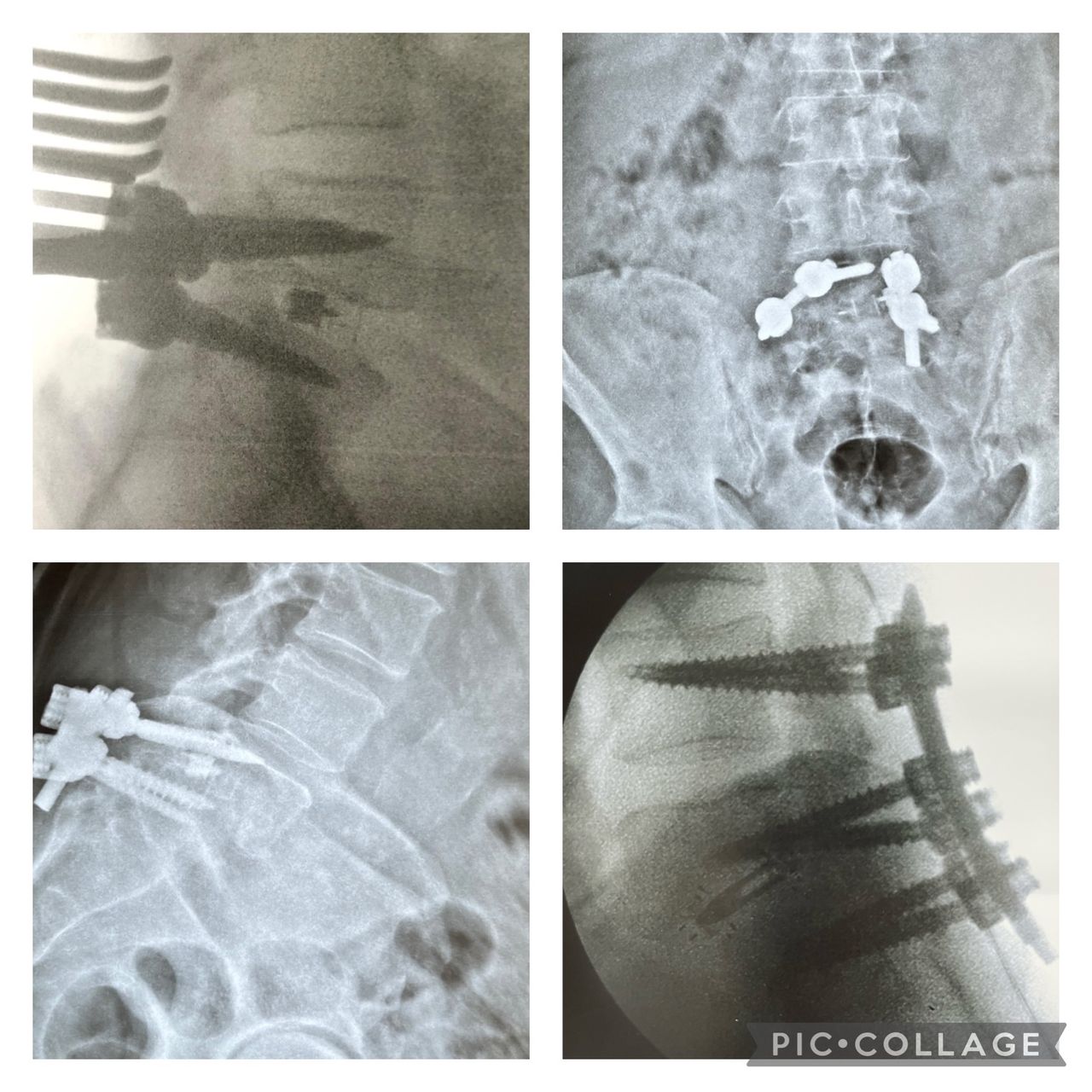 Sebastián Rodrigo Román González-8