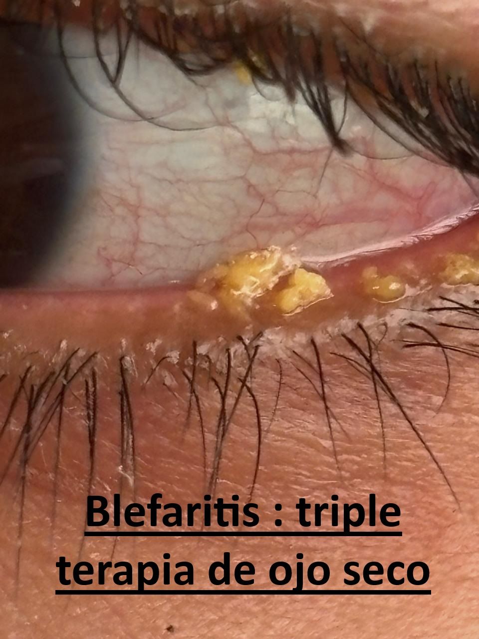 Andrea Cárdenas González-2