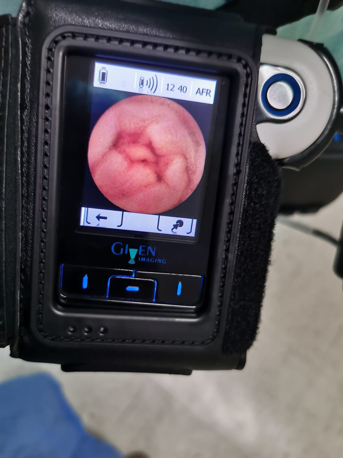 Deneb Pérez Morales-3