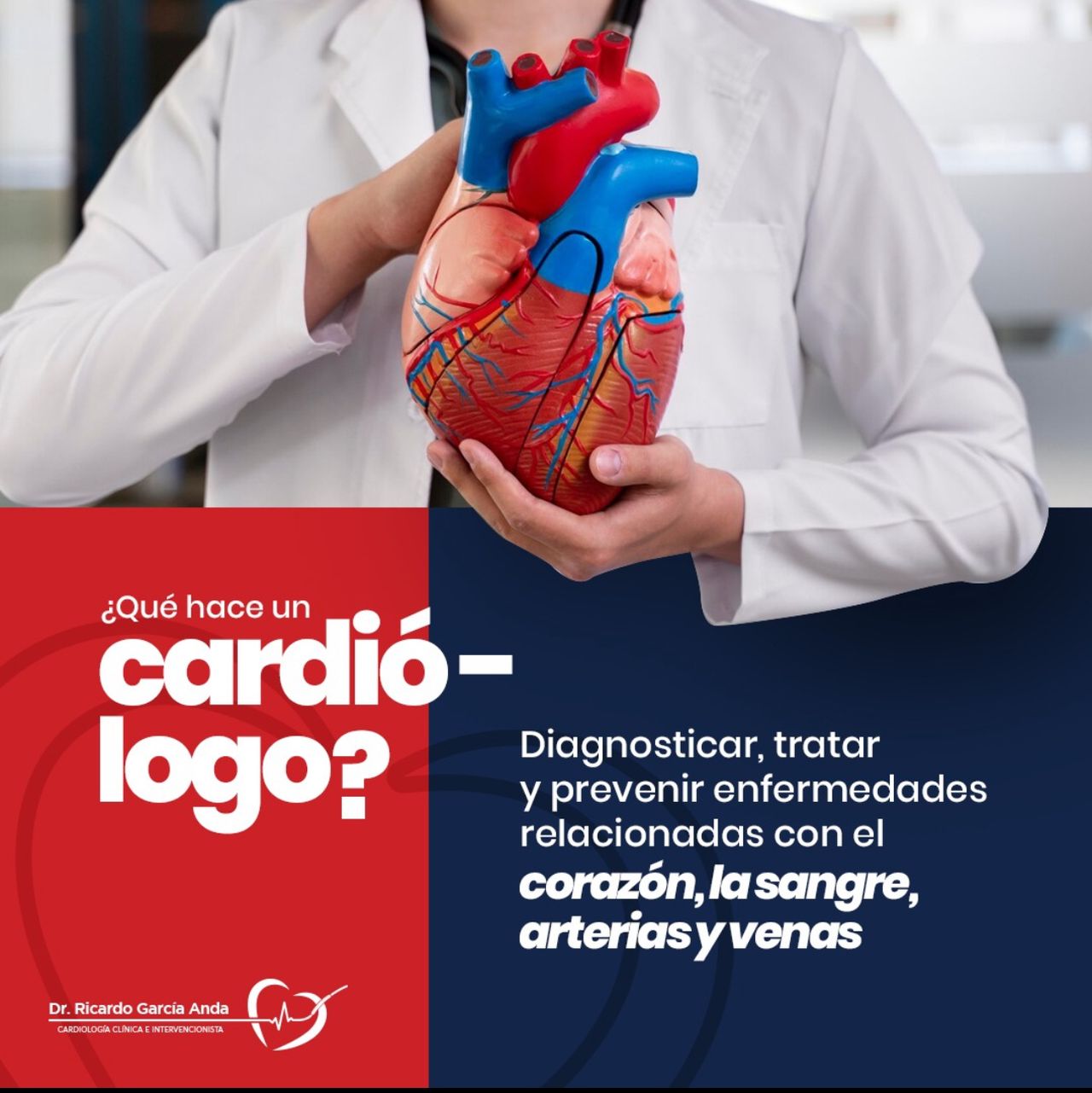 Ricardo Garcia Anda-11