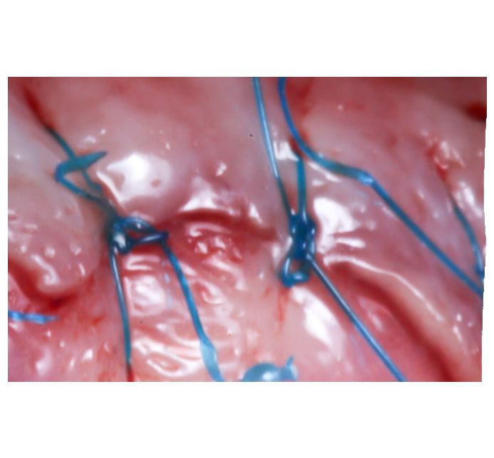 Hugo Enrique Aguilar Lamas-1