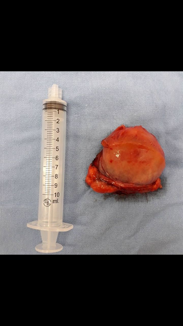 Pedro Enrique Martínez Constantino-18