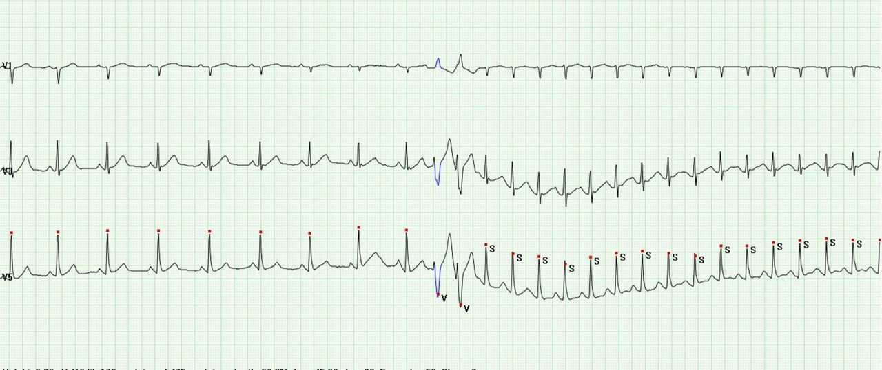 Laura Delgado De Nicola-1