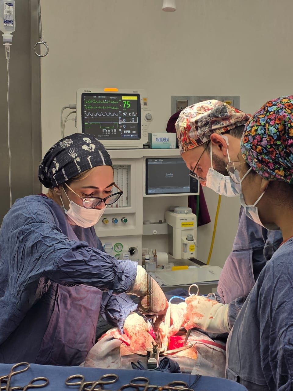 Viridiana Villanueva Mendez-2