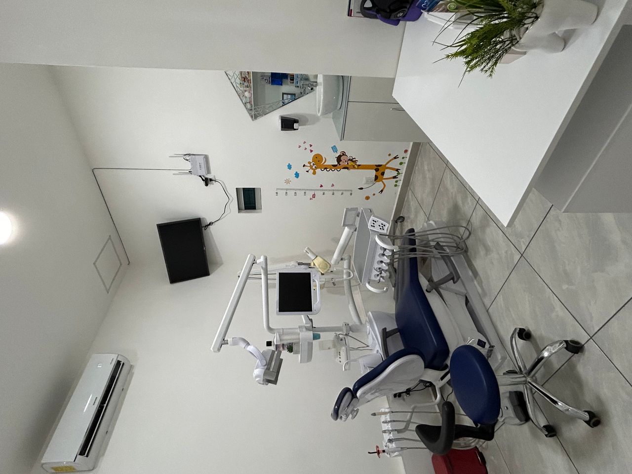 Carolina Ceballos Zepeda-4