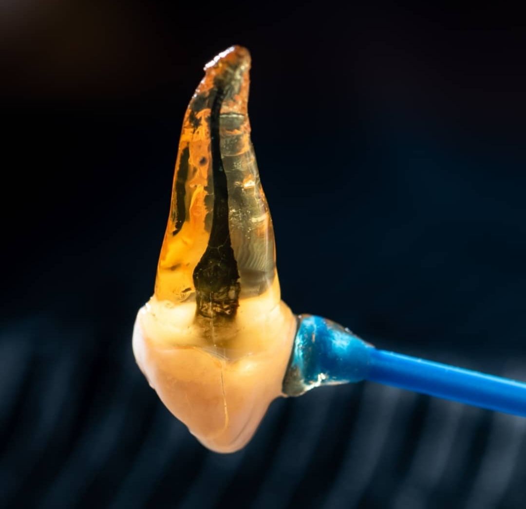 Ilse Méndez Reguera-4