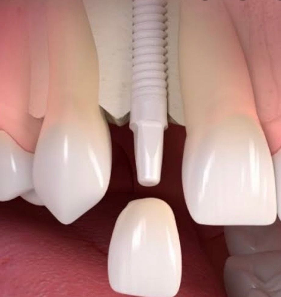 Jonathan Sandoval Robles-9