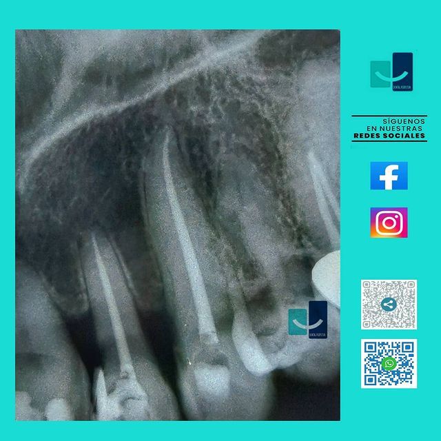 Laura Olivia Solís Ávila-37