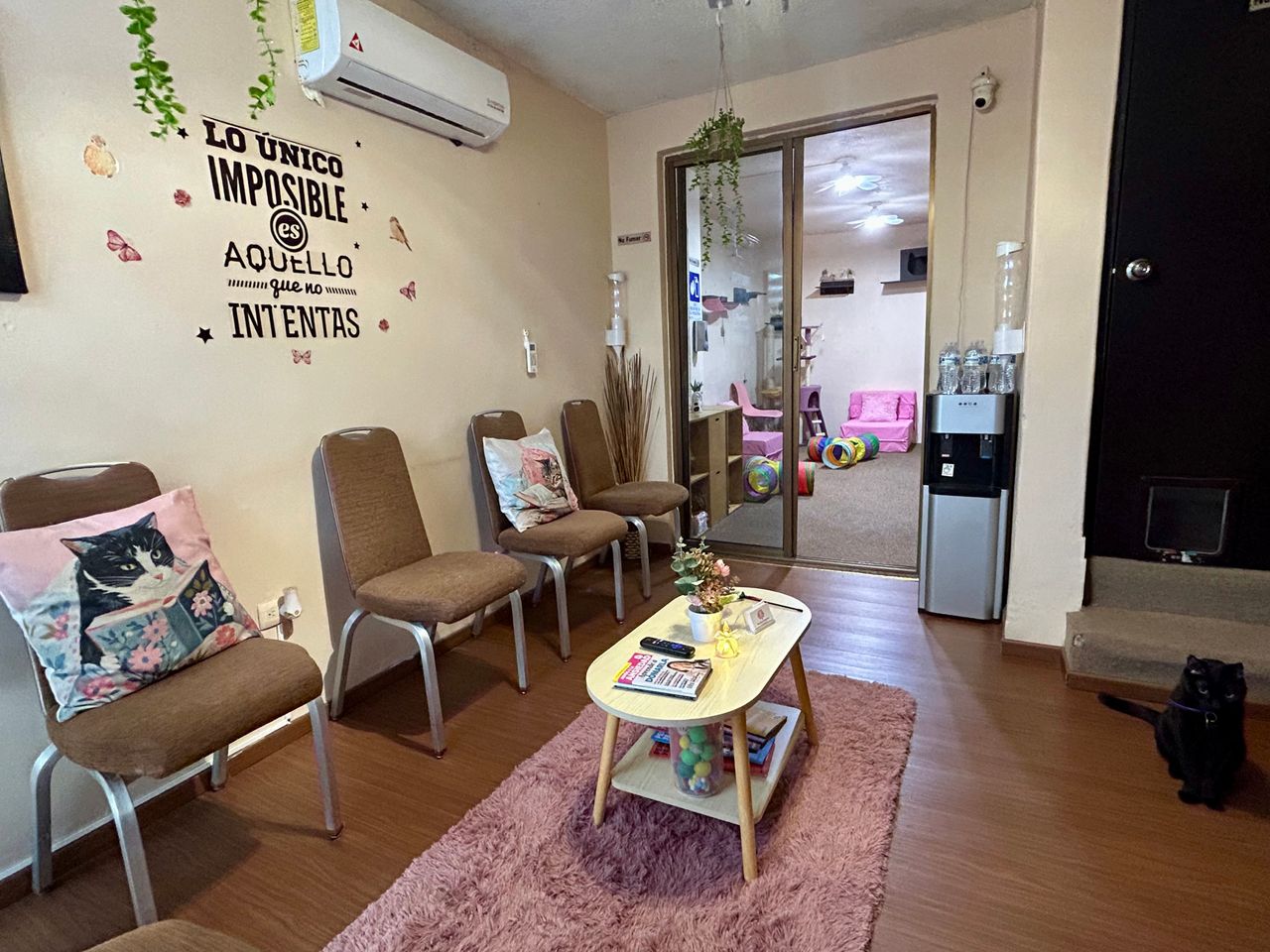 Jhoana Mendoza Larios-9