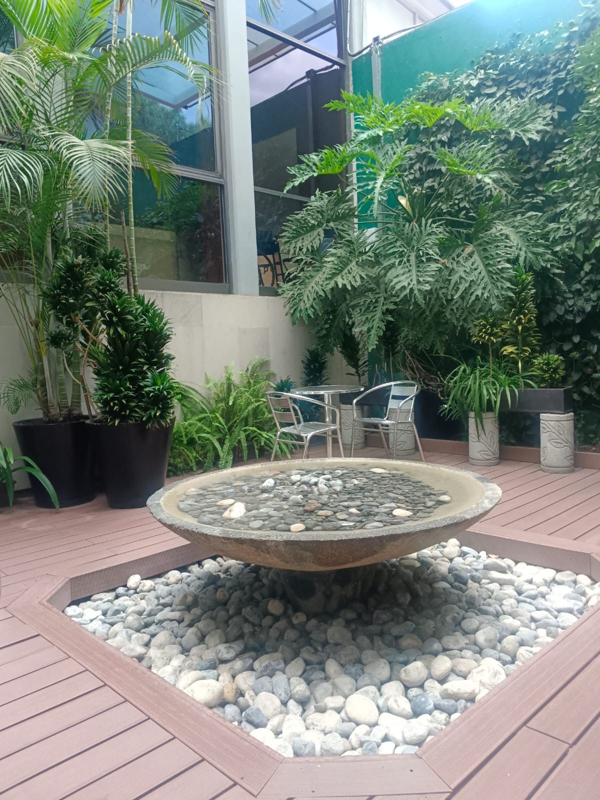 Alejandra Rojas Flores-4