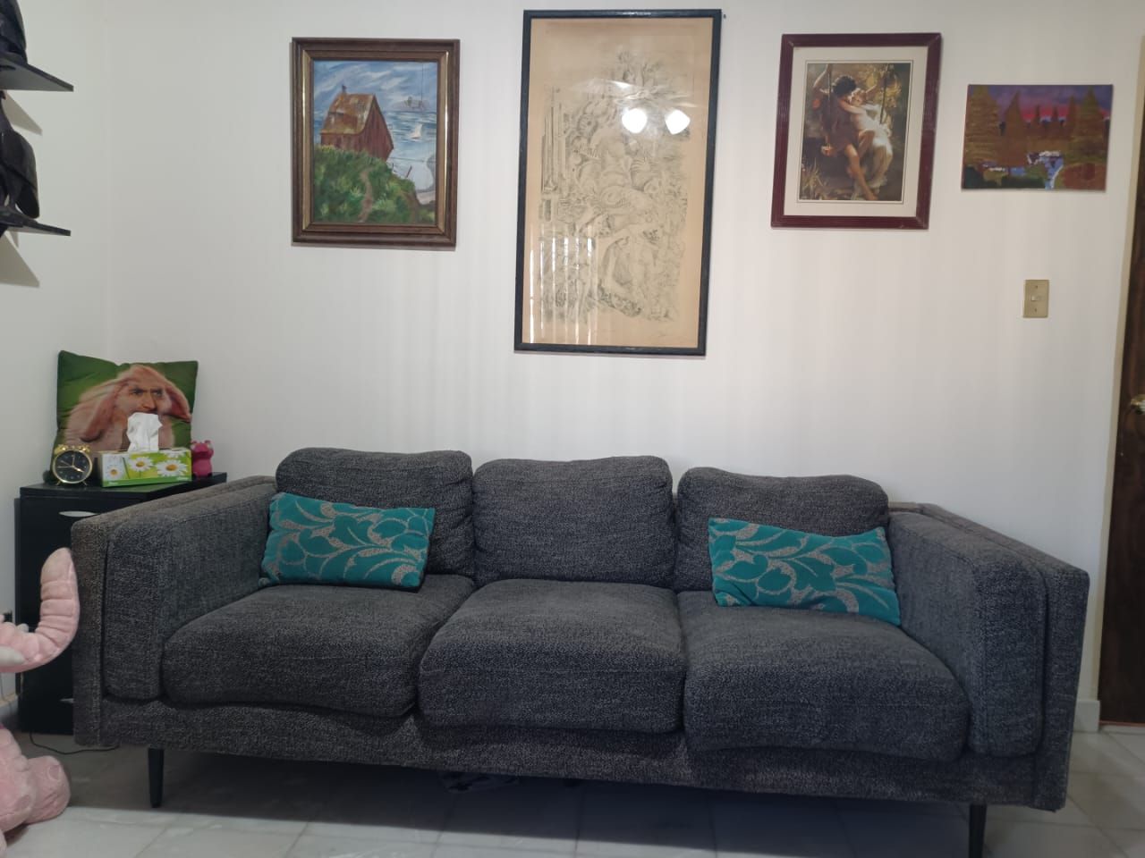 Mario Alfredo Limón Morales-5