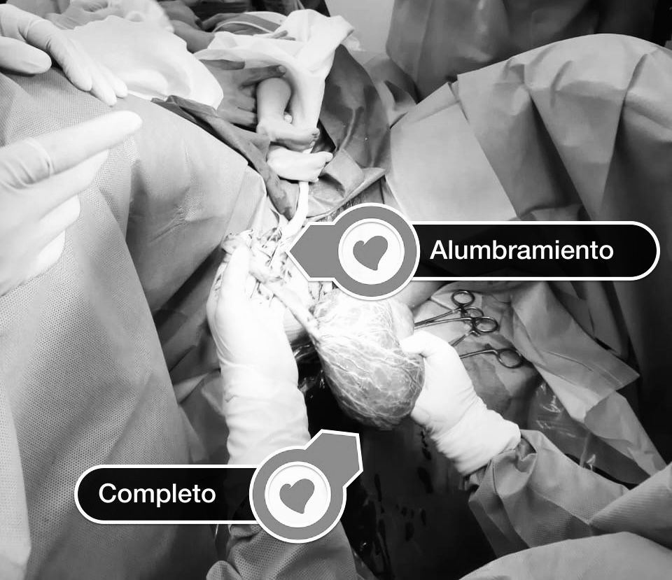 Brenda Anaid Torres Ugalde-3