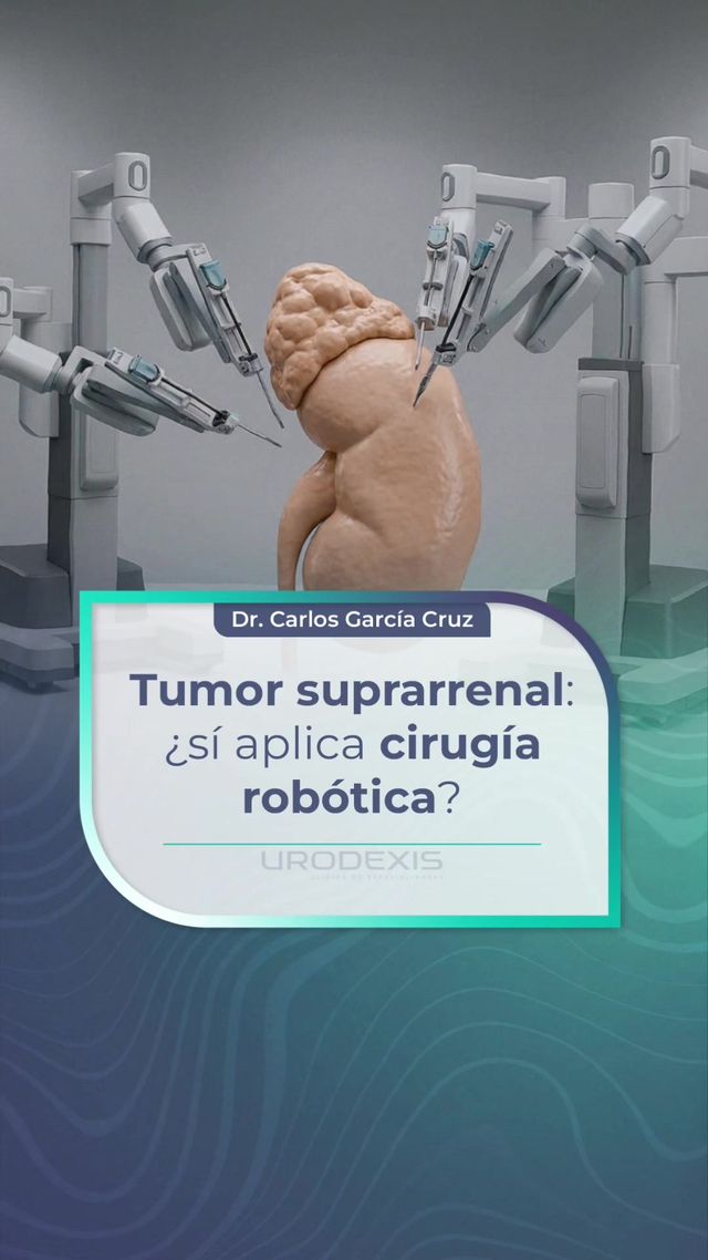 Carlos García Cruz-36