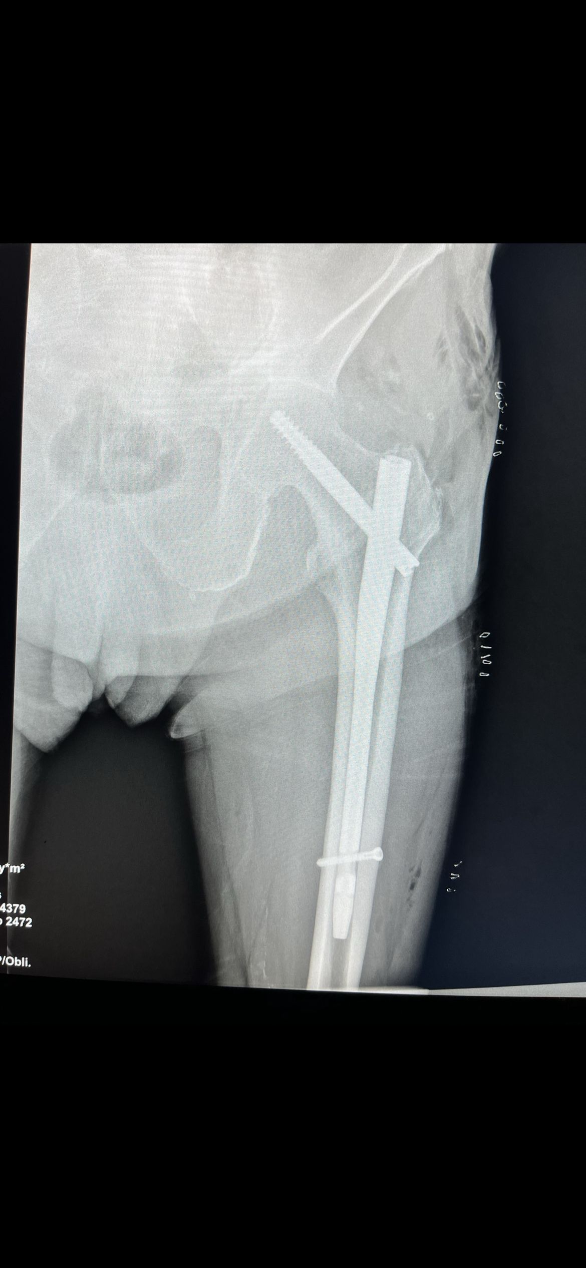 Juan Manuel Viruega Avalos-7