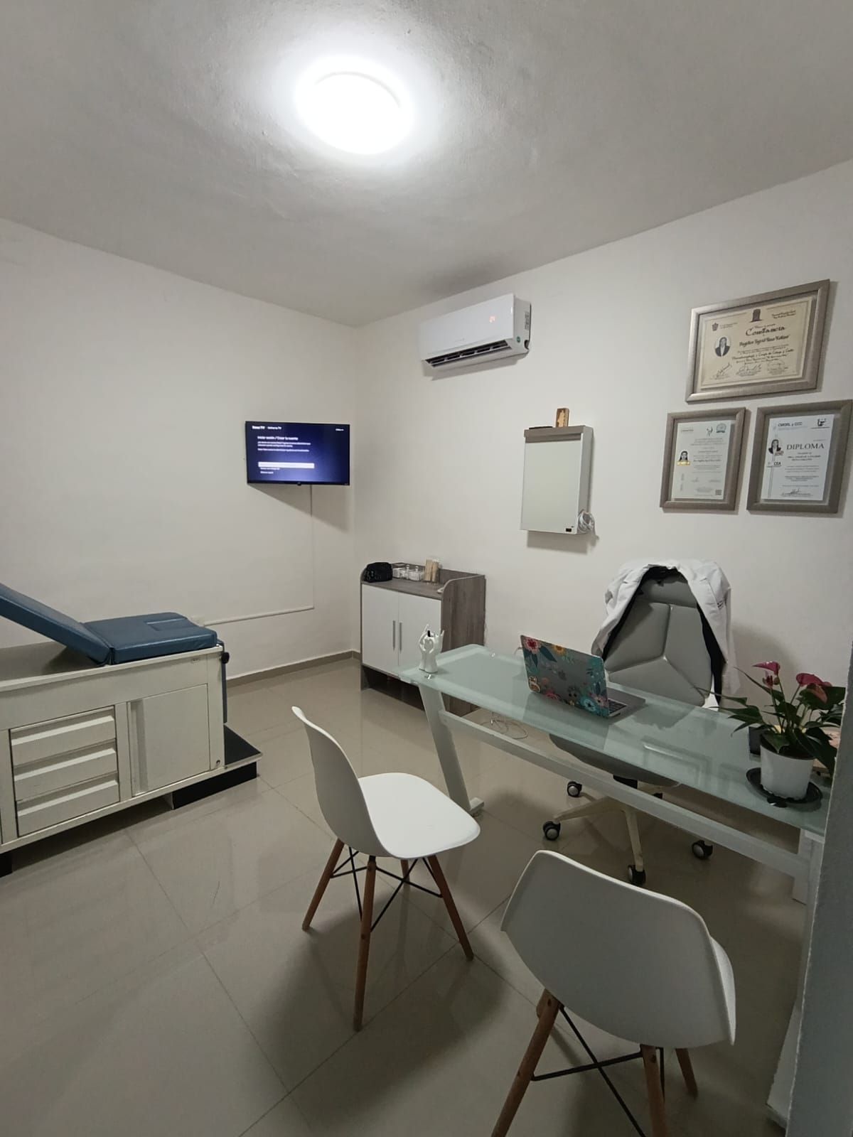 Angélica Ingrid Tena Collins-0