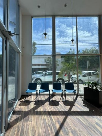 David Alejandro Quintanilla Torres-3