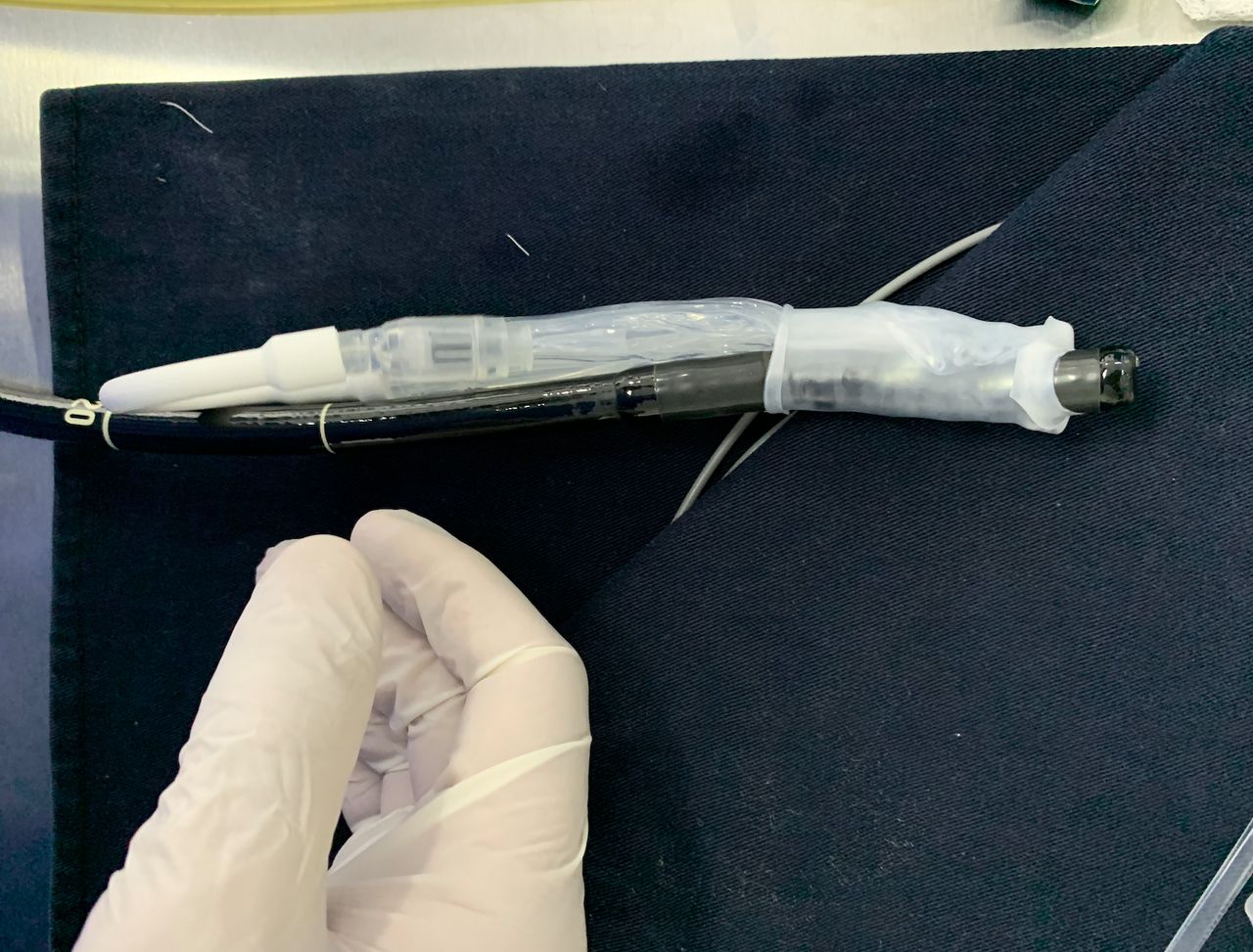 Enrique Rentería Palomo-19