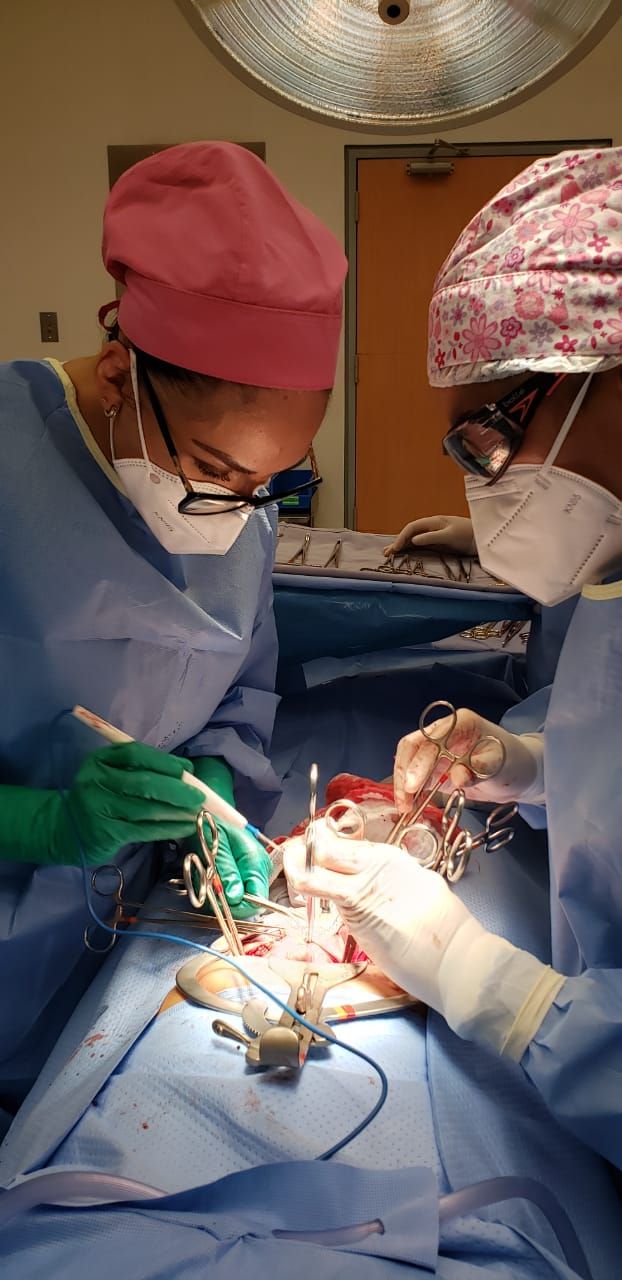 Nayeli Martínez Jaime-14