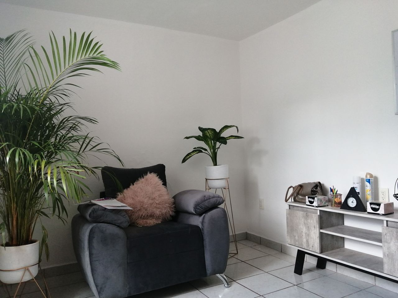 Alejandra Elizabeth Castillo Barragán-0