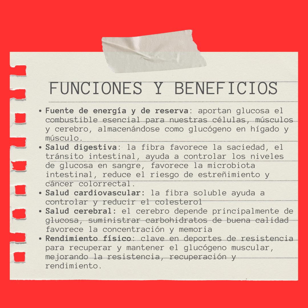 Manuel Josimar Hernández Castillo-16