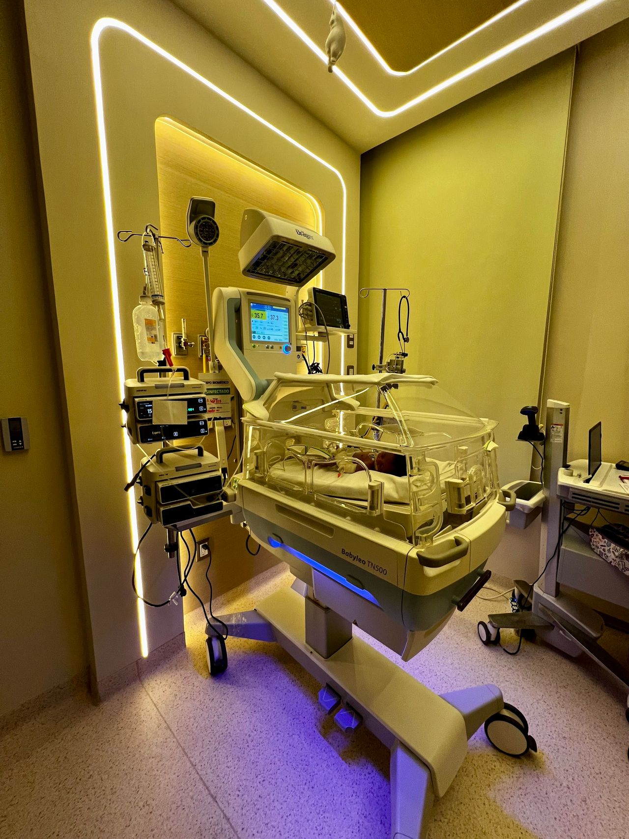 Carlos Gutiérrez Avalos-82