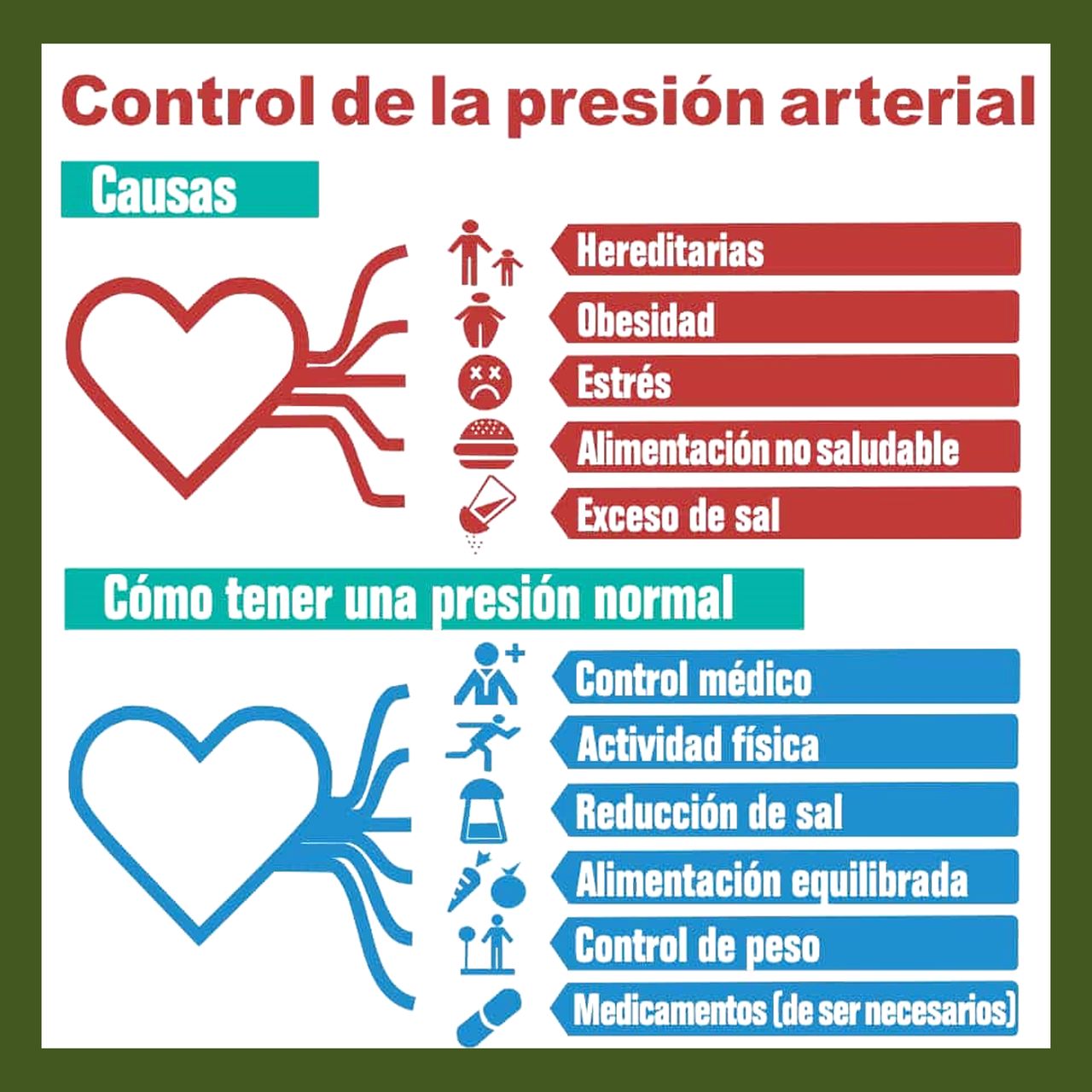 Anaid Eugenia Rodríguez López-6