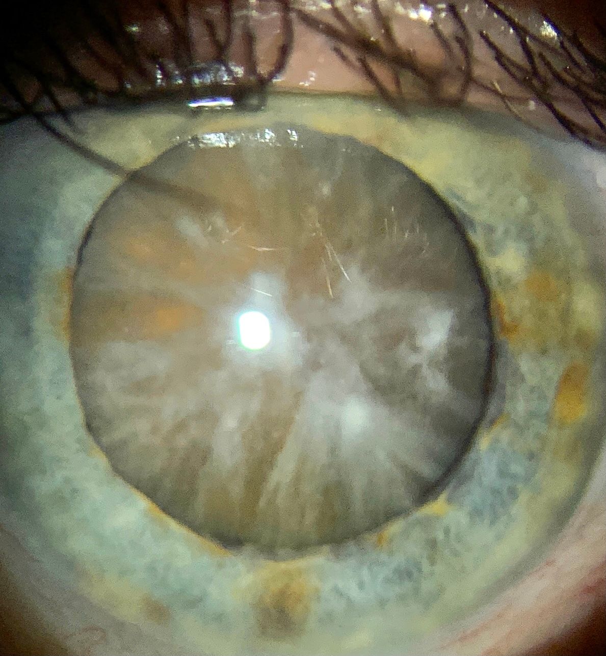 Miguel Angel Ibañez Hernandez-24