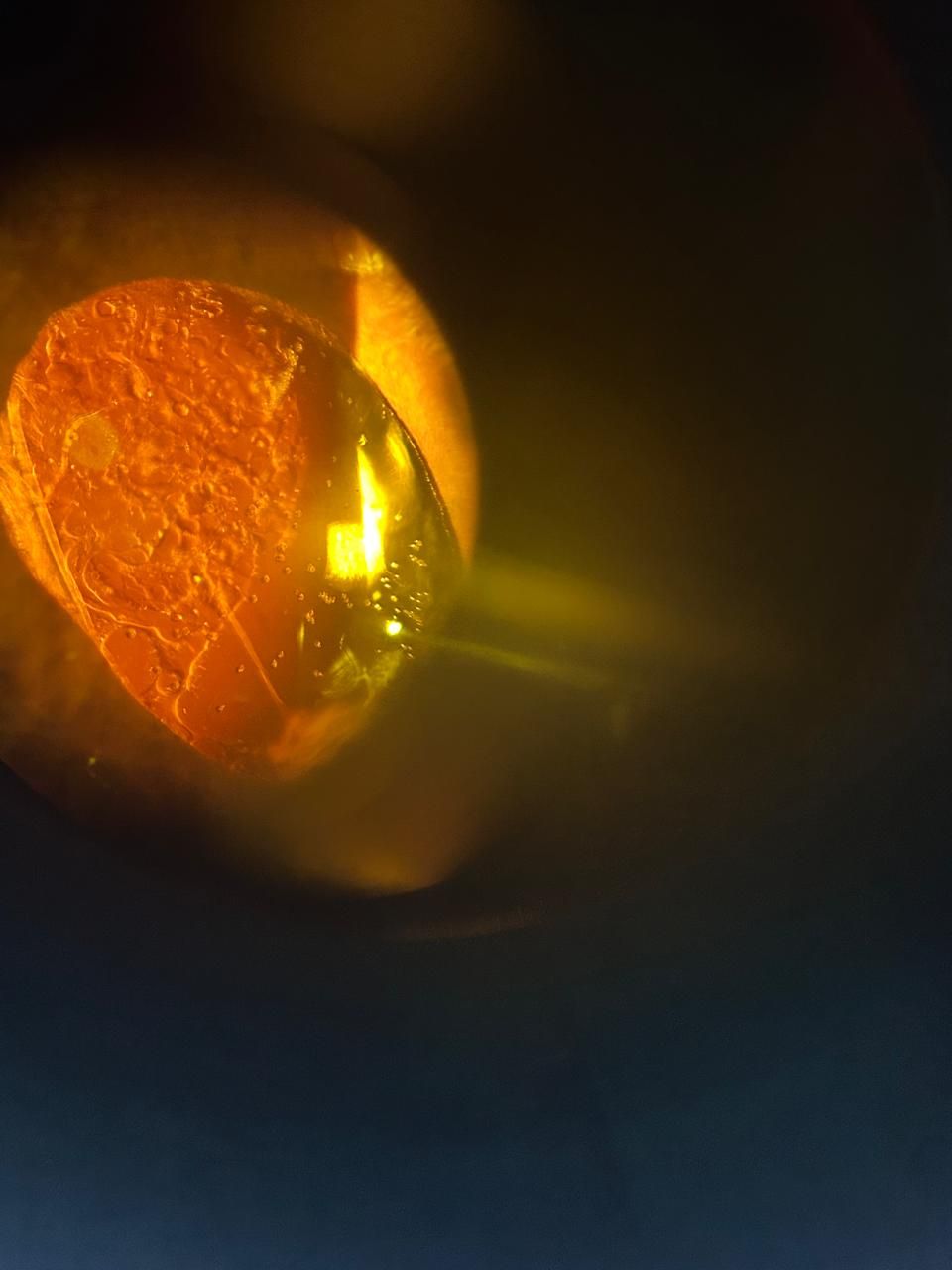 Daniel Martin Laguna Muñoz-31