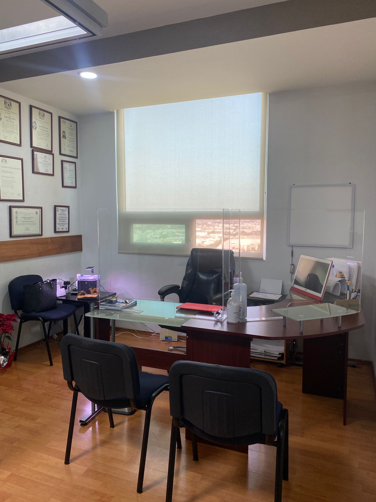 Alfonso De Jesús Castañeda Hernández-1