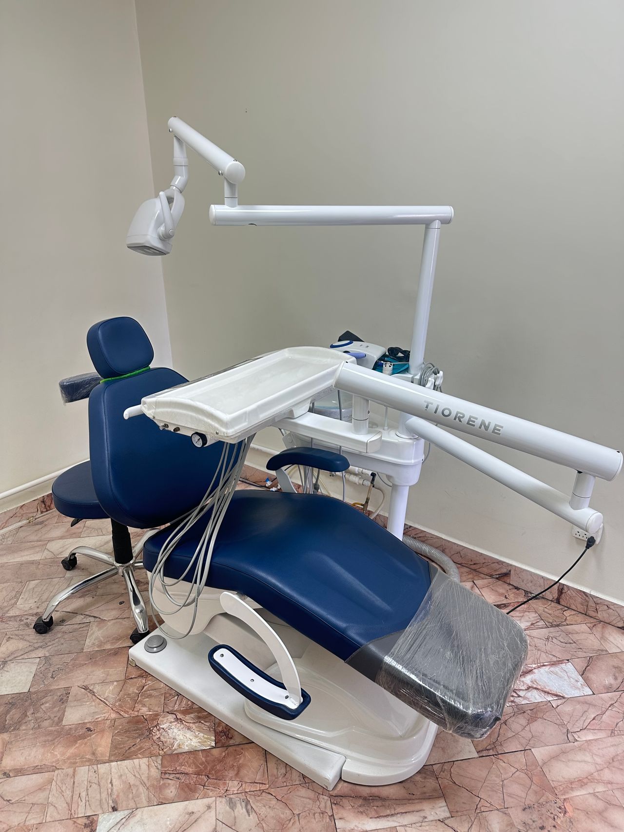 Alberto Carlos Vite Catedral-1