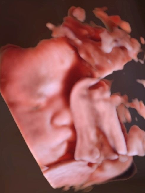 María José Guerrero Cervantes-3