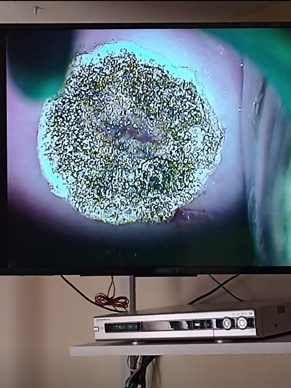 Lucía A. Reyes Robles-9