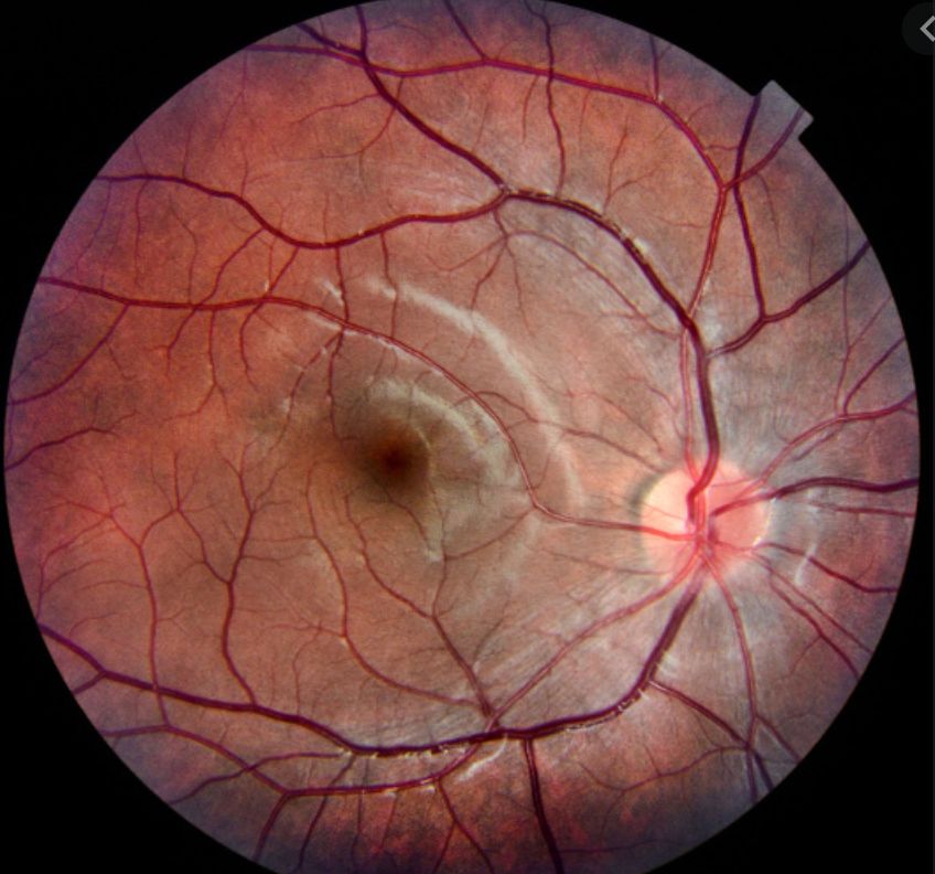 Juan Fernando Rivero Prado-2