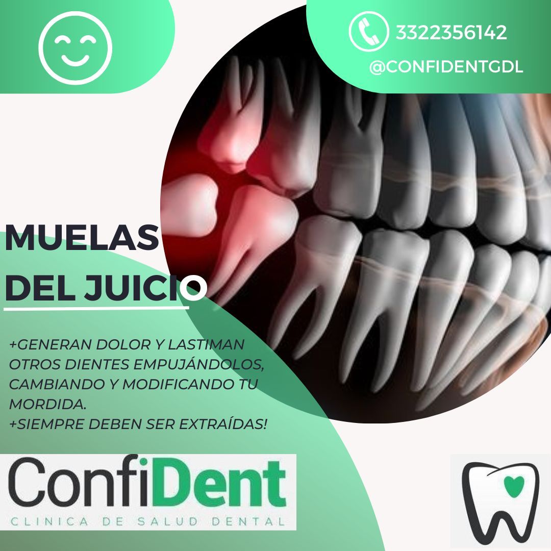 Diego Chavez Hidalgo-8