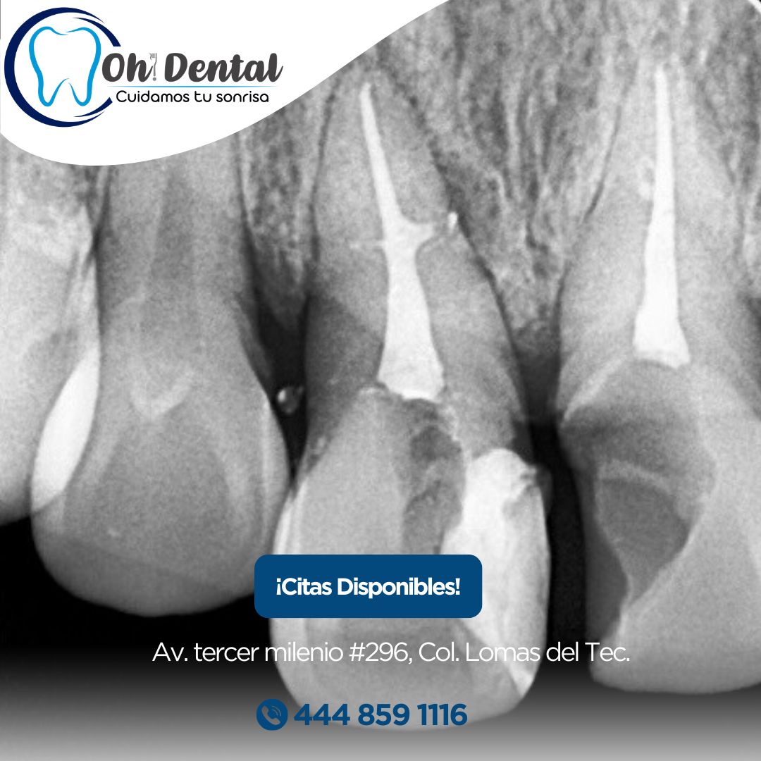 Dany Grizel Andrade Casas-2