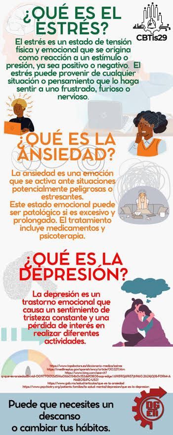 Elizabeth Rodriguez Bosch-13