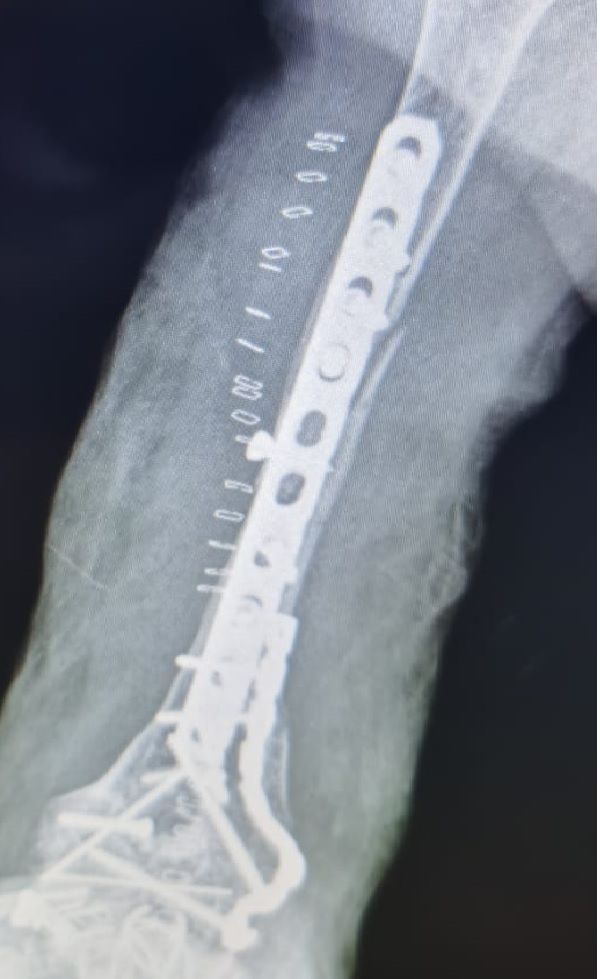 Jorge Yair Álvarez Ojeda-8