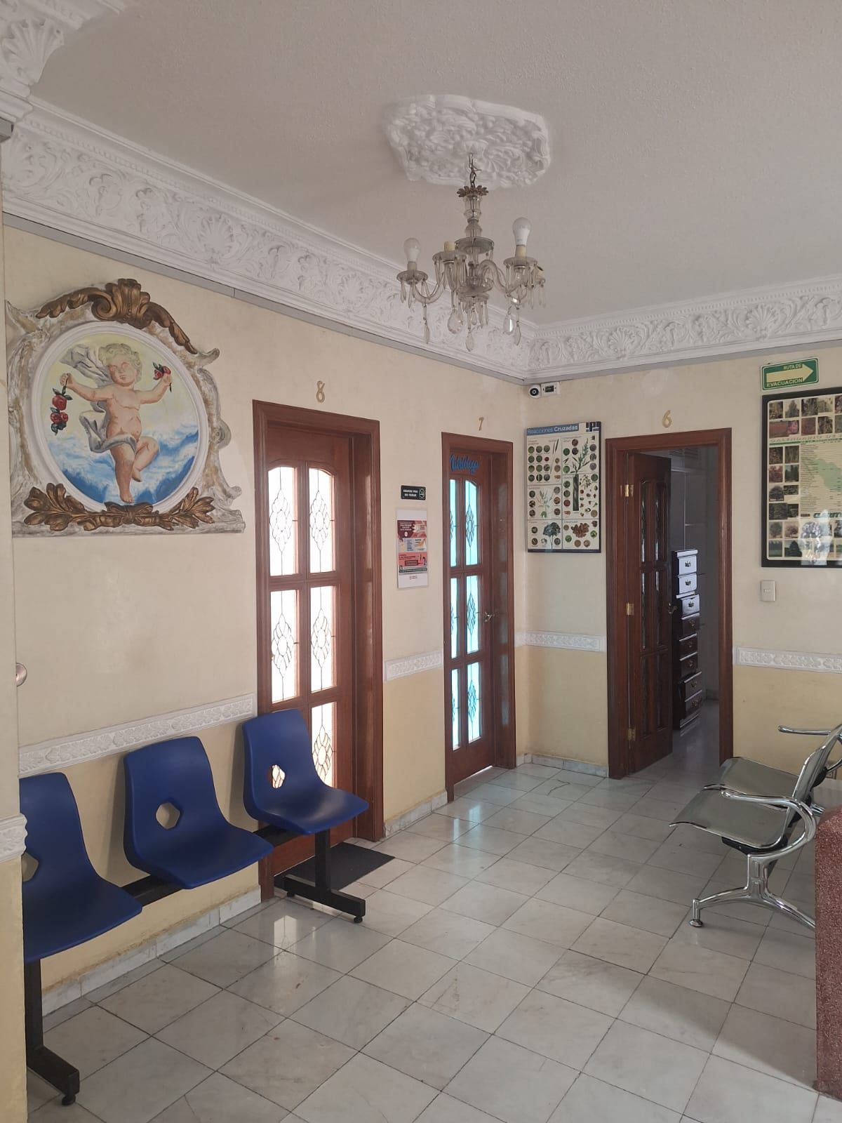 María Isabel Castrejón Vázquez-0