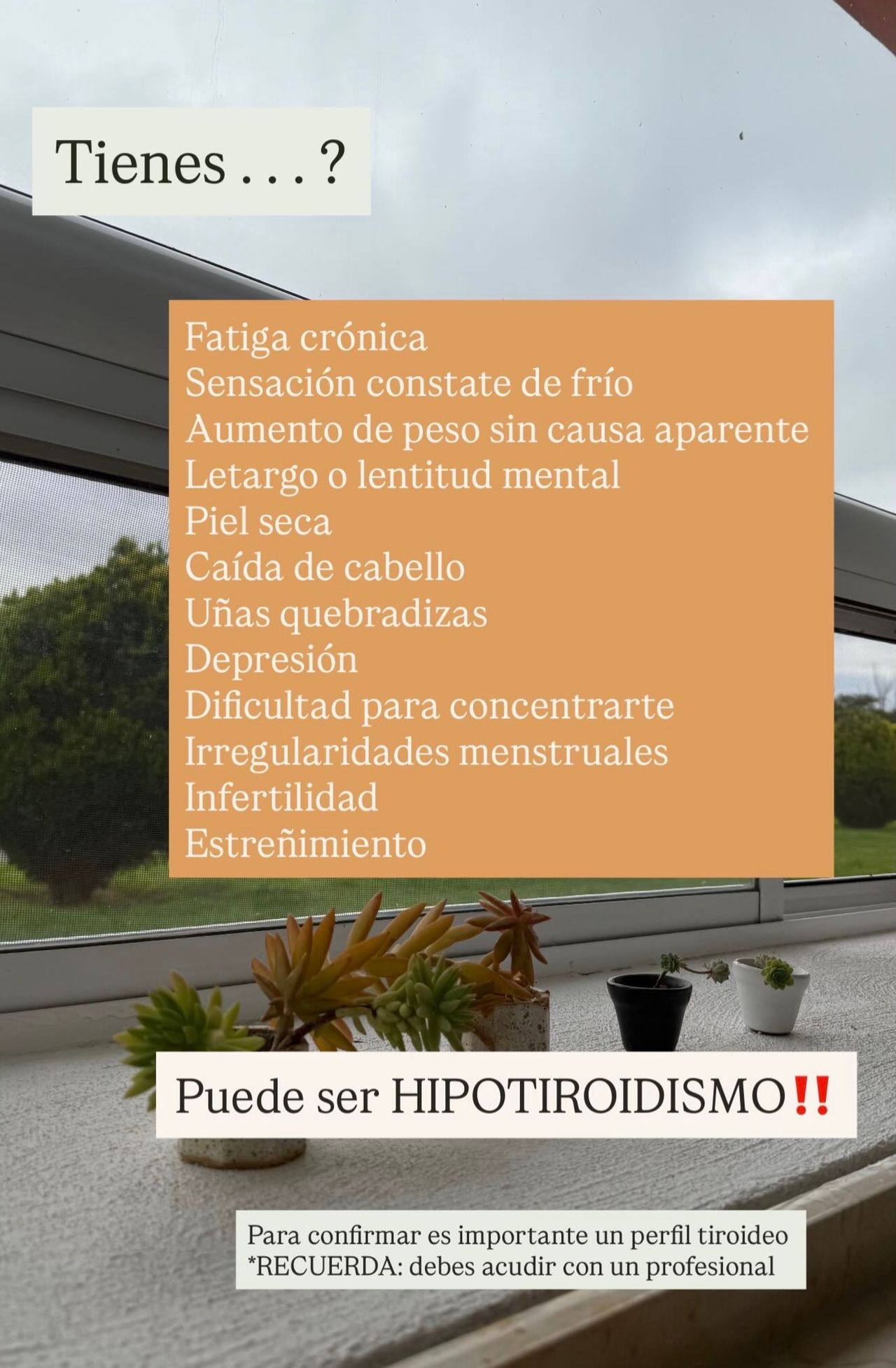 Nallely Del Carmen Núñez Ibáñez-23