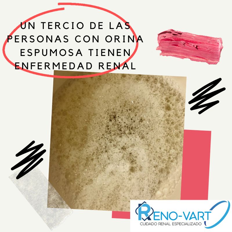 Diana Ramírez Flores-8